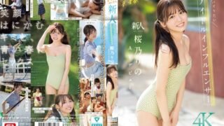 [모자이크제거]SONE-662 사쿠라노 리노